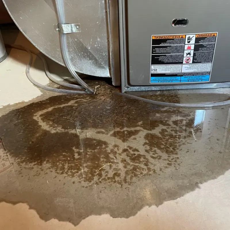 Pipe Burst and Leak Restoration in Williamstown, MA
