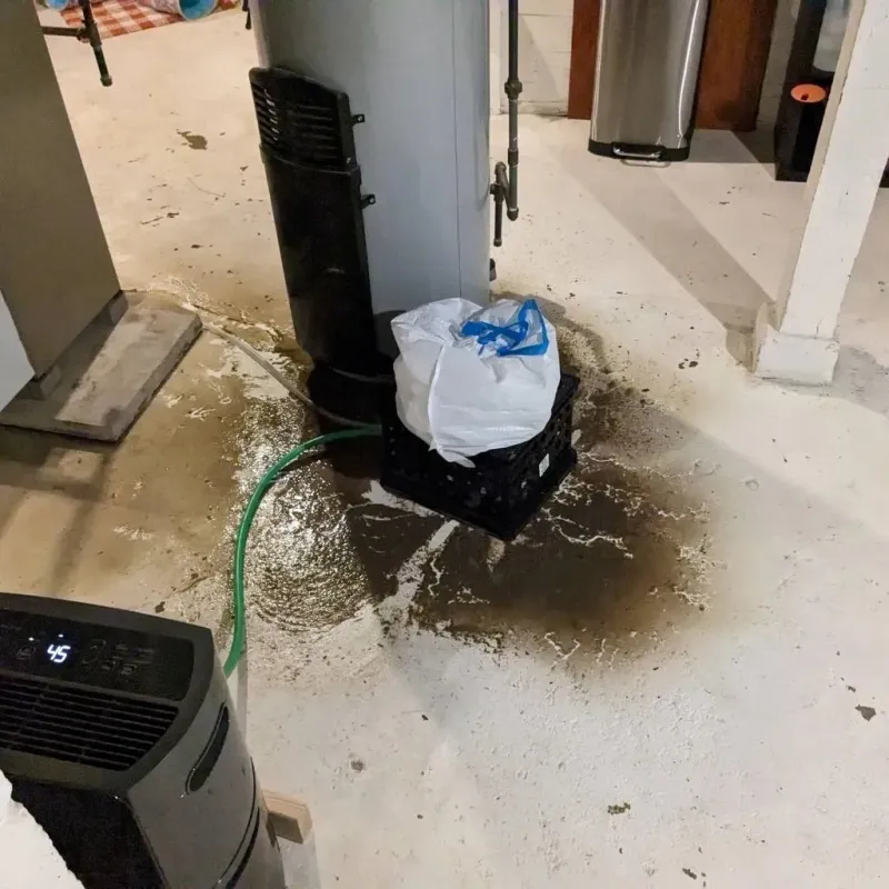 Sewage Backup Cleanup Service in Williamstown, MA